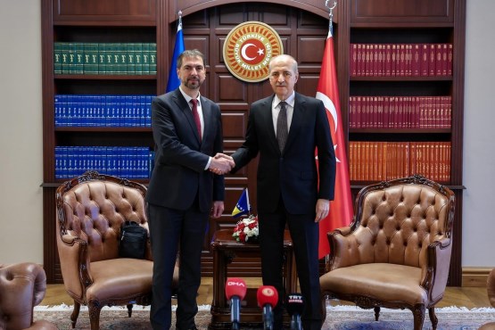 Predsjedavajući Predstavničkog doma PSBiH Marinko Čavara razgovarao u Istanbulu sa predsjednikom Velike narodne skupštine Republike Turske